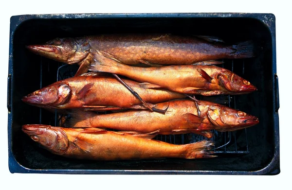 Pescado ahumado — Foto de Stock