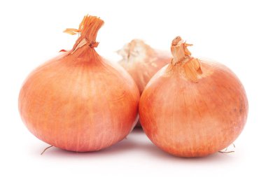Beyaz zemin üzerinde izole edilmiş üç taze organik turuncu soğan sebzesi (Allium cepa) detaylandırılmış. 