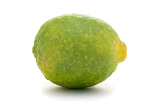 Beyaz Zemin Üzerinde Izole Edilmiş Organik Yeşil Limon Meyvesi Citrus — Stok fotoğraf