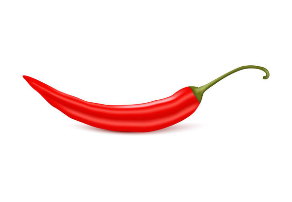  Illustration of a red chili pepper isolated on a white background.