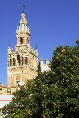 Giralda