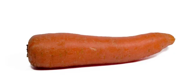 Carrot — Stock Photo, Image