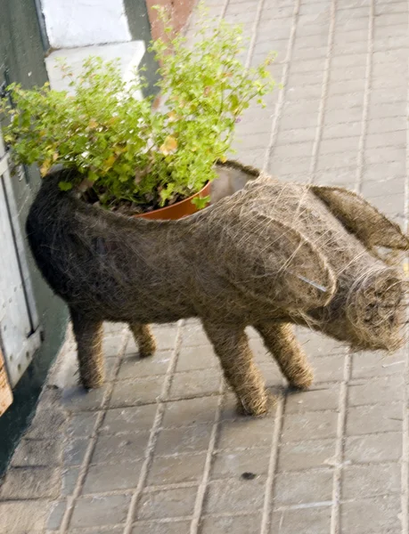 Fuenteheridos — Stockfoto