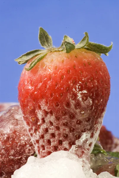 Frozen strawberries — Stock Photo, Image