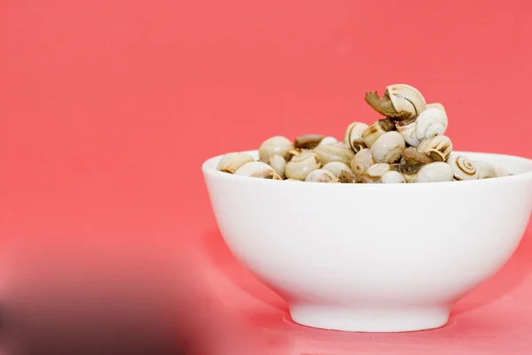 Bowl of snails in garlic, typical plate of Spain and France — Stock Photo, Image