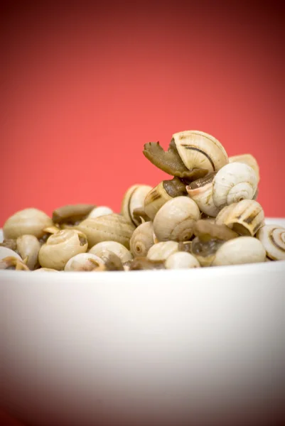 Bowl of snails in garlic, typical plate of Spain and France — Stock Photo, Image