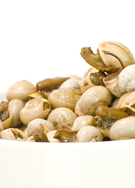 Bowl of snails in garlic, typical plate of Spain and France — Stock Photo, Image
