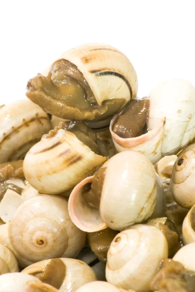 Bowl of snails in garlic, typical plate of Spain and France — Stock Photo, Image