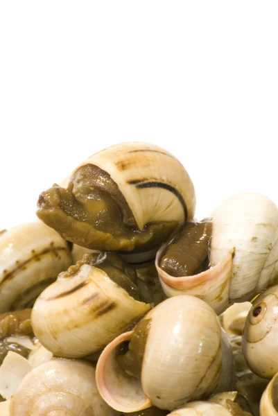 Bowl of snails in garlic, typical plate of Spain and France — Stock Photo, Image