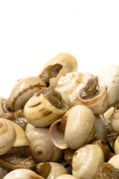 Bowl of snails in garlic, typical plate of Spain and France — Stock Photo, Image