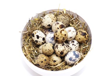 bıldırcın yumurtası 