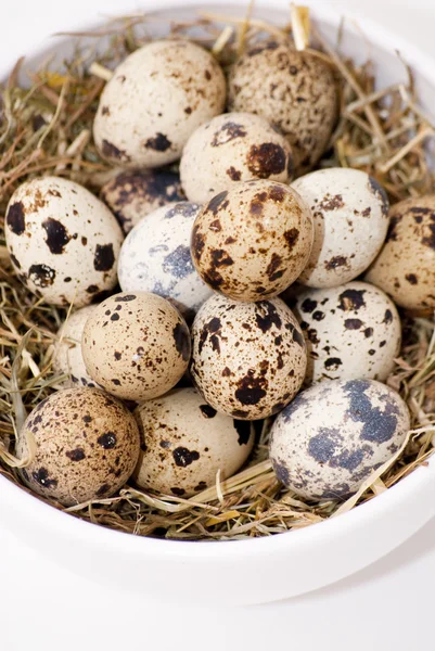 Quail eggs — Stock Photo, Image