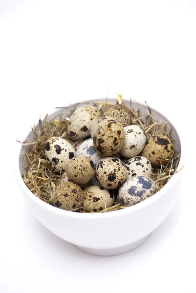 Quail eggs — Stock Photo, Image