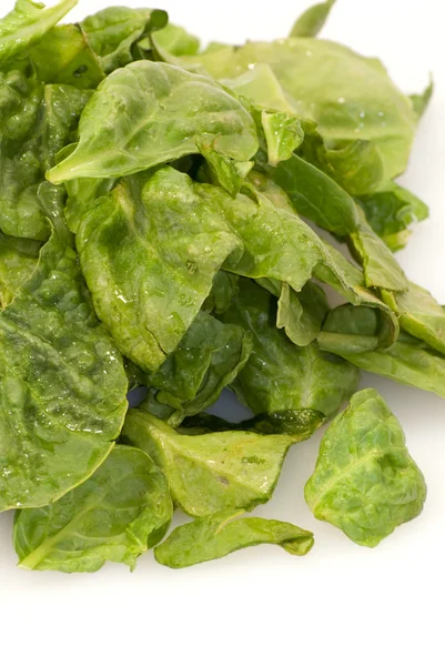 Fresh green leaves spinach on a white background — Stock Photo, Image