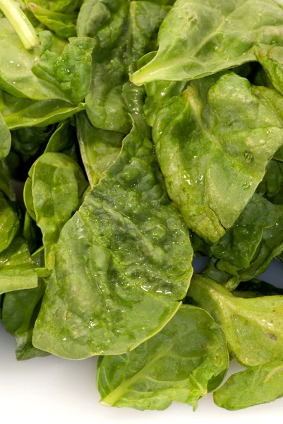 Foglie verdi fresche spinaci su sfondo bianco — Foto Stock