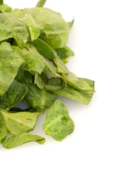 Свежие зеленые листья шпината на белом фоне — стоковое фото