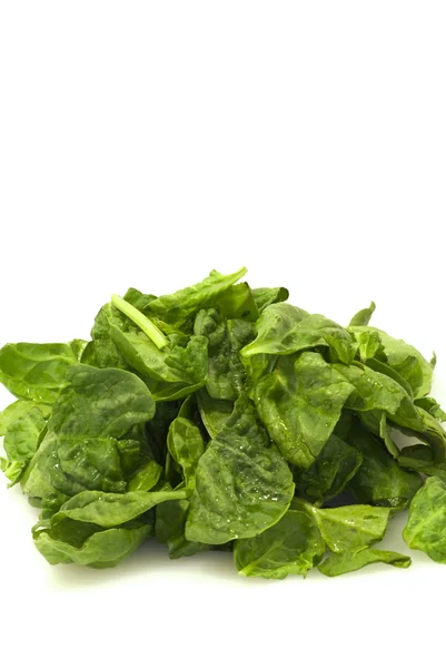 Foglie verdi fresche spinaci su sfondo bianco — Foto Stock