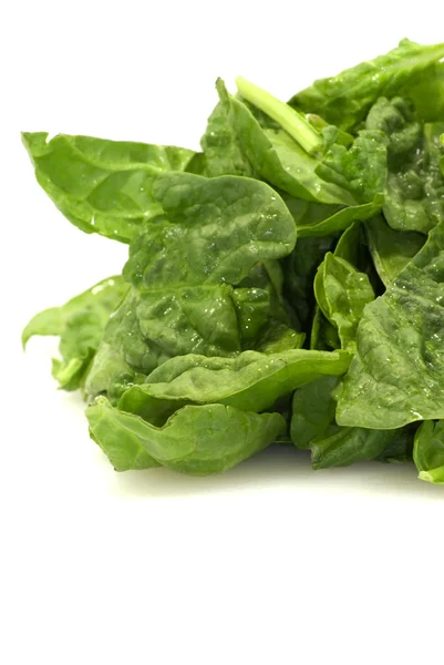 Foglie verdi fresche spinaci su sfondo bianco — Foto Stock