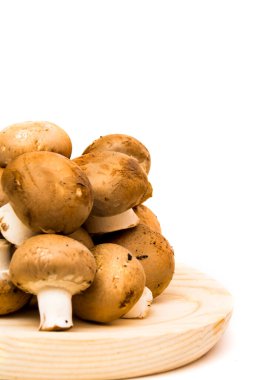 Grup beyaz arka plan üzerinde mantar