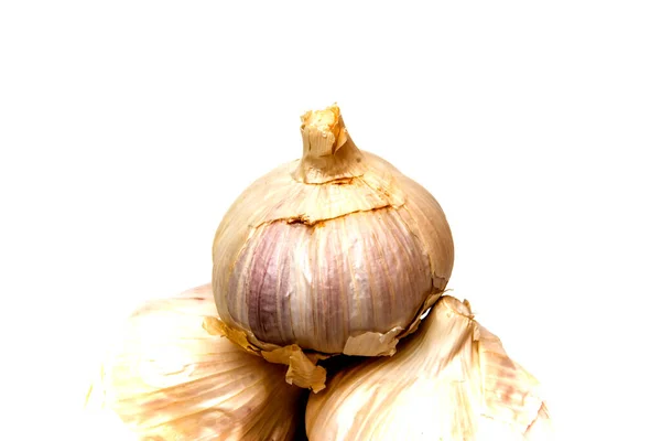 Group Garlic White Background — Stock Photo, Image