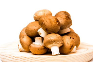 Grup beyaz arka plan üzerinde mantar