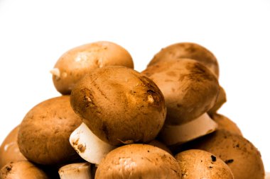 Grup beyaz arka plan üzerinde mantar