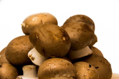 Grup beyaz arka plan üzerinde mantar