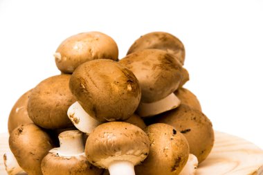 Grup beyaz arka plan üzerinde mantar