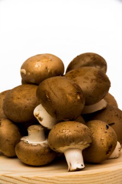 Grup beyaz arka plan üzerinde mantar