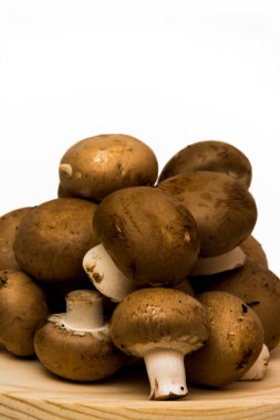 Grup beyaz arka plan üzerinde mantar