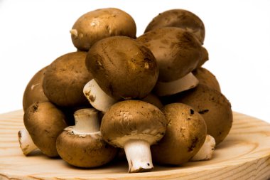 Grup beyaz arka plan üzerinde mantar