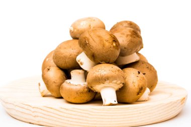 Grup beyaz arka plan üzerinde mantar