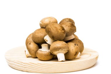 Grup beyaz arka plan üzerinde mantar