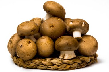 Grup beyaz arka plan üzerinde mantar