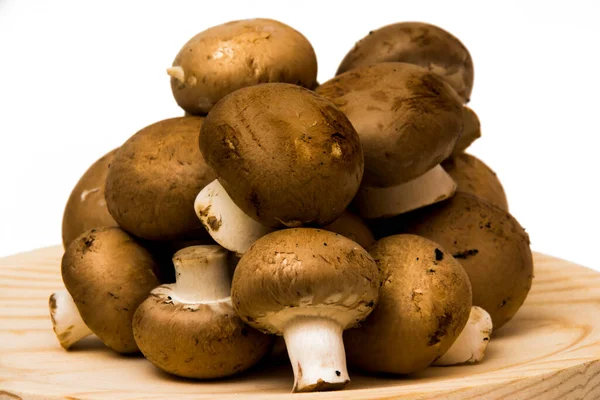 Grup beyaz arka plan üzerinde mantar