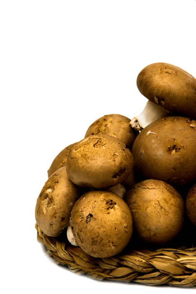 Grup beyaz arka plan üzerinde mantar