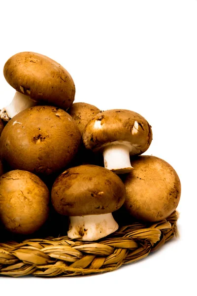 Grup beyaz arka plan üzerinde mantar