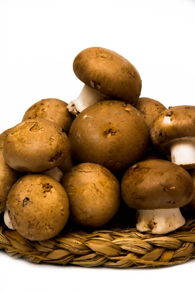 Grup beyaz arka plan üzerinde mantar