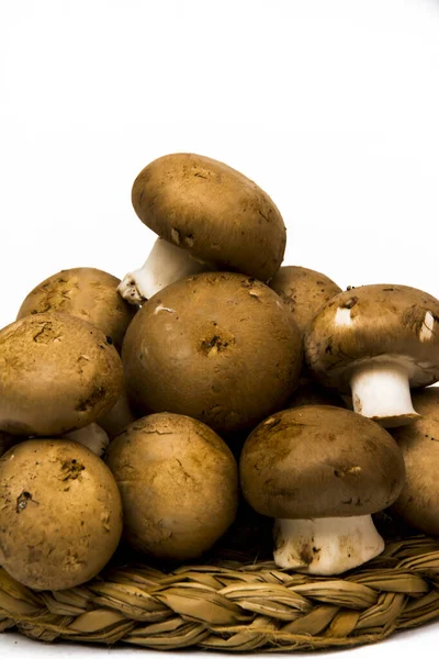 Grup beyaz arka plan üzerinde mantar