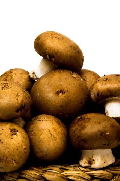 Grup beyaz arka plan üzerinde mantar