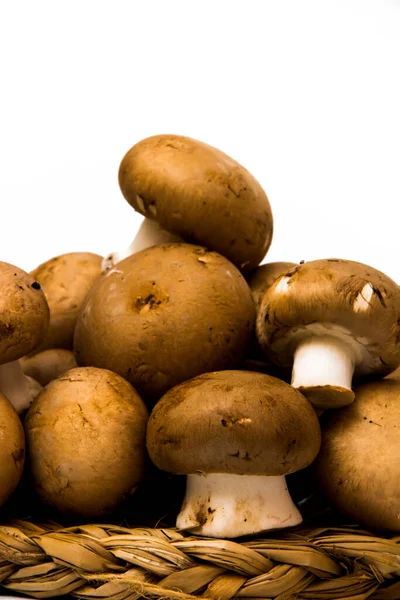 Grup beyaz arka plan üzerinde mantar