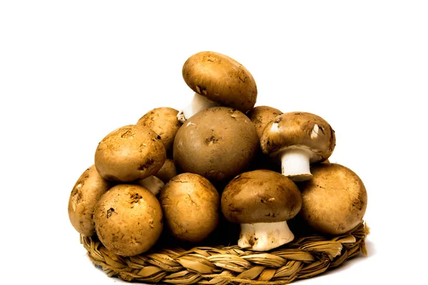 Grup beyaz arka plan üzerinde mantar