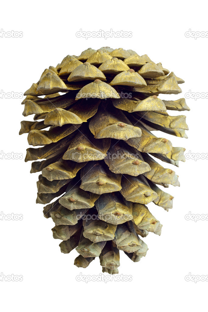 Christmas Golden Pine Cone decoration isolated on white