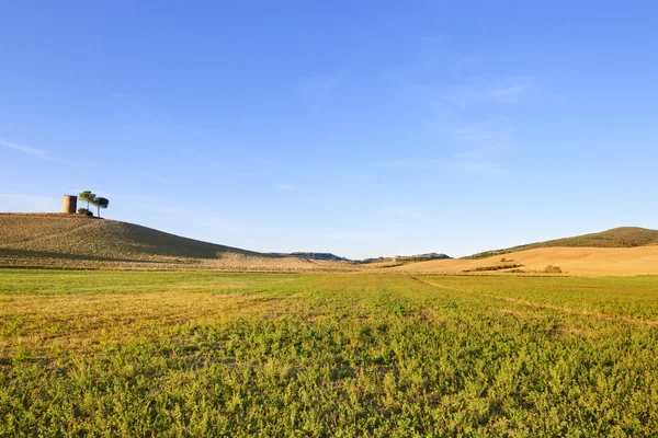 Toscana, maremma landskap. landsbygdens tower, gröna fält och träd. — Stockfoto