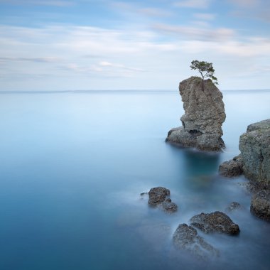 Portofino park. çam ağacı rock. uzun pozlama. Liguria, İtalya
