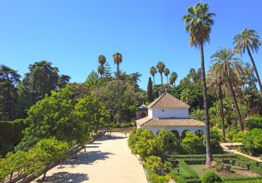 Royal alcazar bahçeleri landmark. Seville, Endülüs, İspanya.