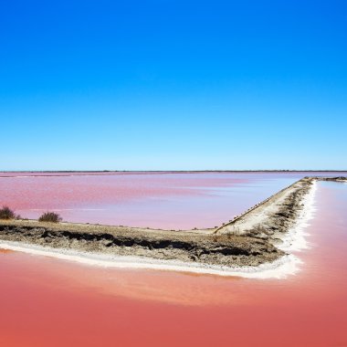 Camargue, peyzaj giraud pembe tuz daireler. Rhône, provence, fra