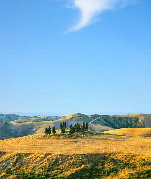 Toscana, paisagem rural. Fazenda Cuntryside e ciprestes — Fotografia de Stock