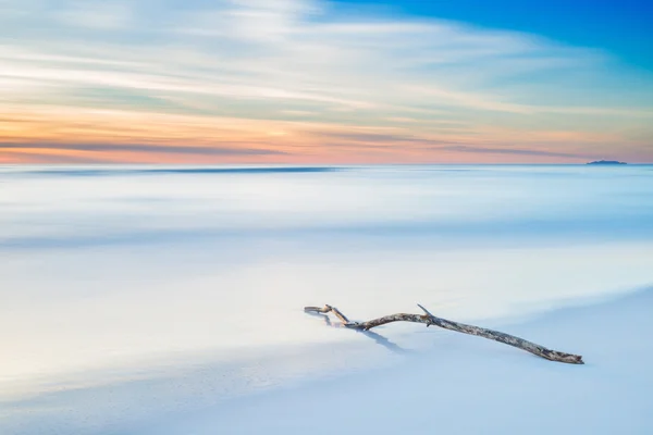 Holzzweig am weißen Strand bei Sonnenuntergang in der Dämmerung — Stockfoto