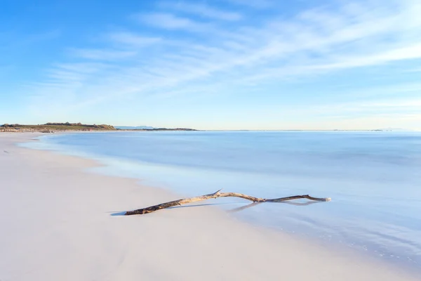 Rama de madera en una playa blanca al atardecer — Foto de Stock